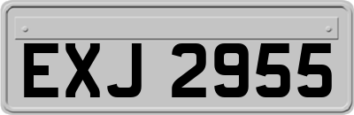 EXJ2955
