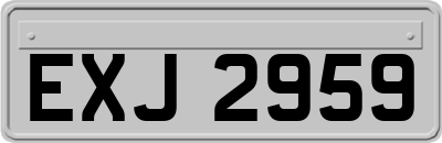 EXJ2959