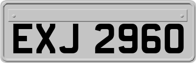 EXJ2960