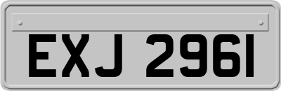 EXJ2961