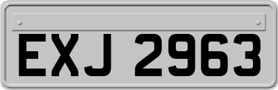 EXJ2963
