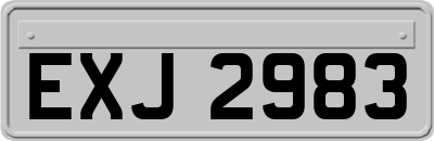 EXJ2983