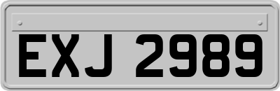 EXJ2989