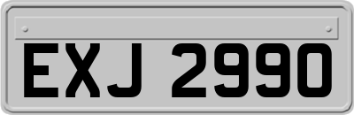 EXJ2990