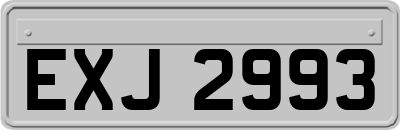 EXJ2993