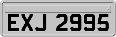 EXJ2995
