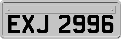 EXJ2996