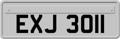 EXJ3011