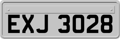 EXJ3028