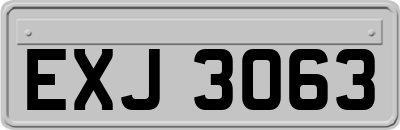 EXJ3063