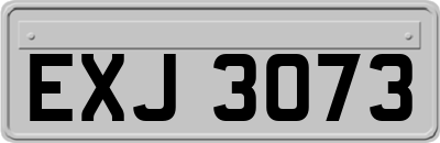 EXJ3073