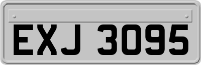 EXJ3095