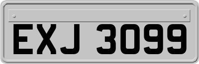 EXJ3099