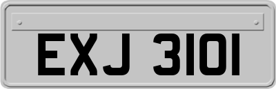 EXJ3101