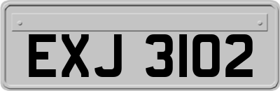 EXJ3102