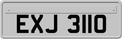 EXJ3110