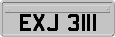 EXJ3111