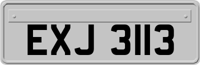 EXJ3113