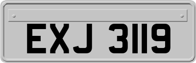 EXJ3119