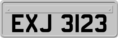 EXJ3123