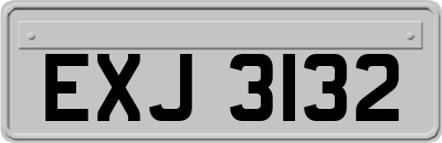 EXJ3132