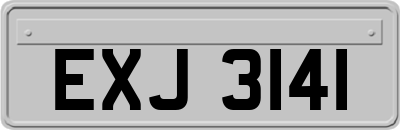EXJ3141