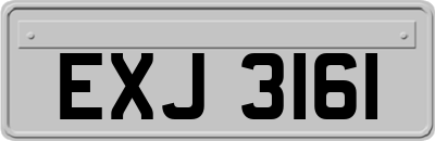 EXJ3161