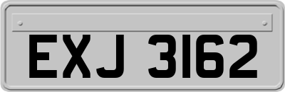 EXJ3162