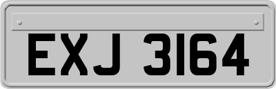 EXJ3164
