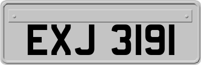 EXJ3191
