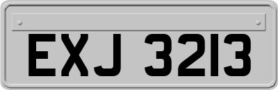 EXJ3213