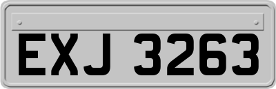 EXJ3263