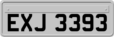 EXJ3393