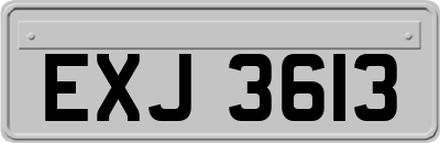 EXJ3613