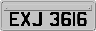 EXJ3616
