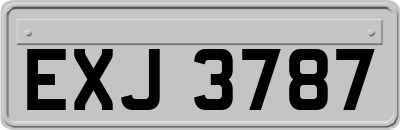EXJ3787