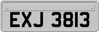 EXJ3813