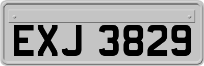 EXJ3829