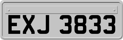 EXJ3833