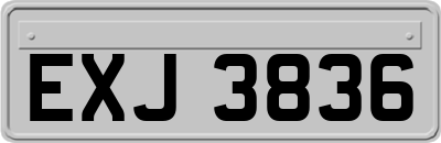 EXJ3836
