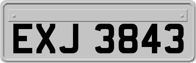 EXJ3843