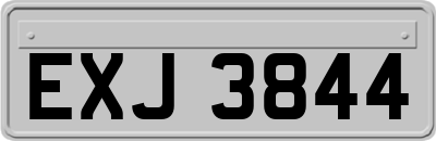 EXJ3844