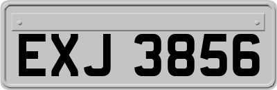 EXJ3856
