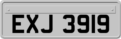 EXJ3919