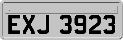 EXJ3923