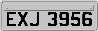EXJ3956