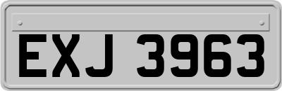 EXJ3963