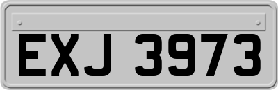 EXJ3973