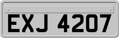 EXJ4207