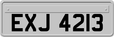 EXJ4213